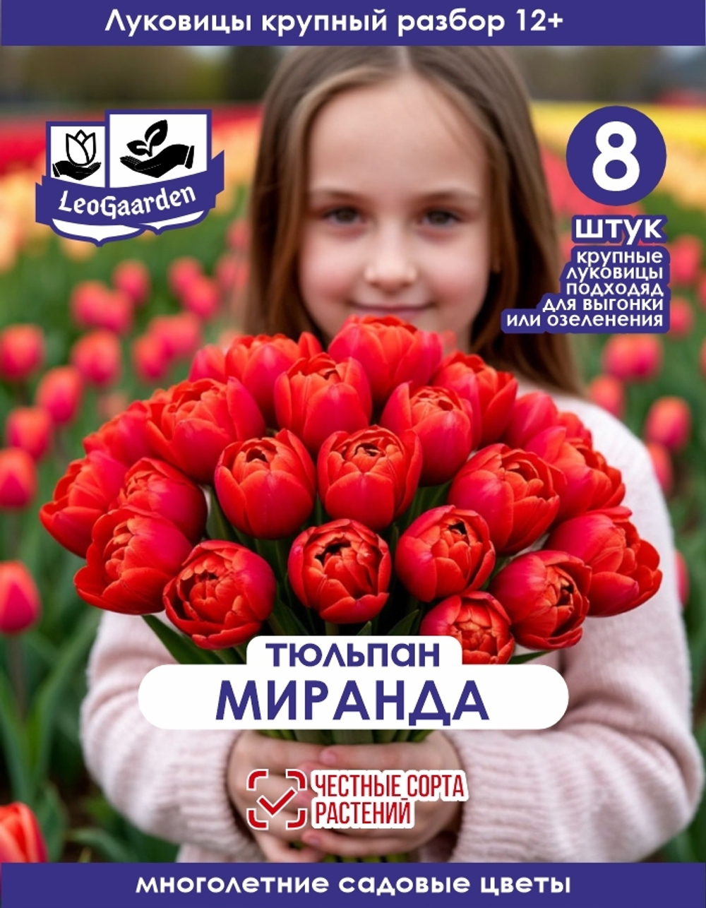Тюльпан Луковица, Миранда, 8шт, разбор 12+