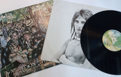 Винтажная виниловая пластинка LP Rod Stewart A Night On The Town (USA 1976)