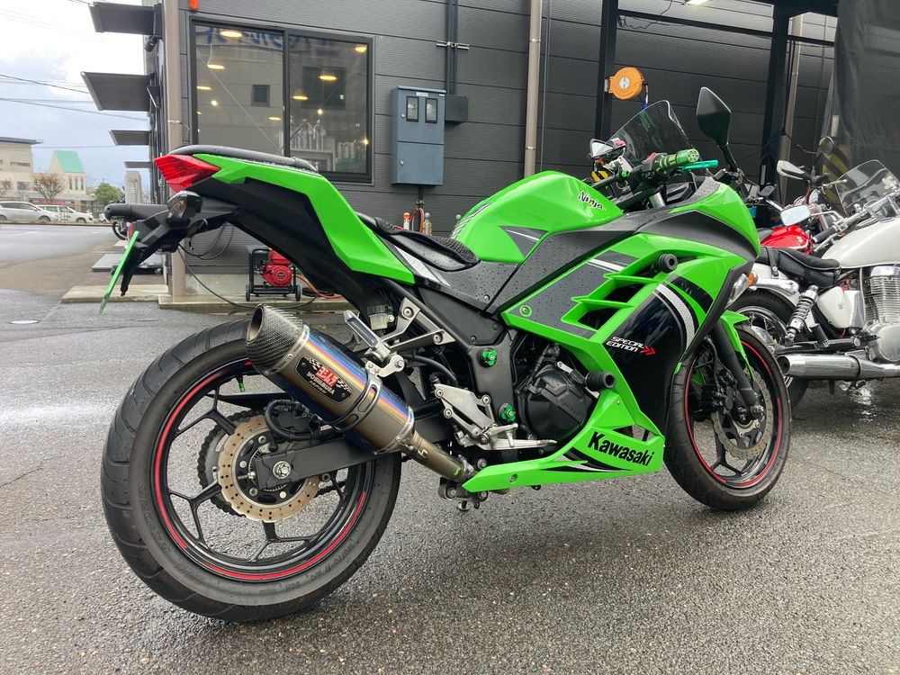 Kawasaki Ninja 250 A 039582