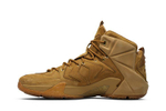 Кроссовки Nike Lebron 12 Ext Wheat