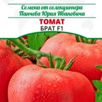 Томат Брат F1