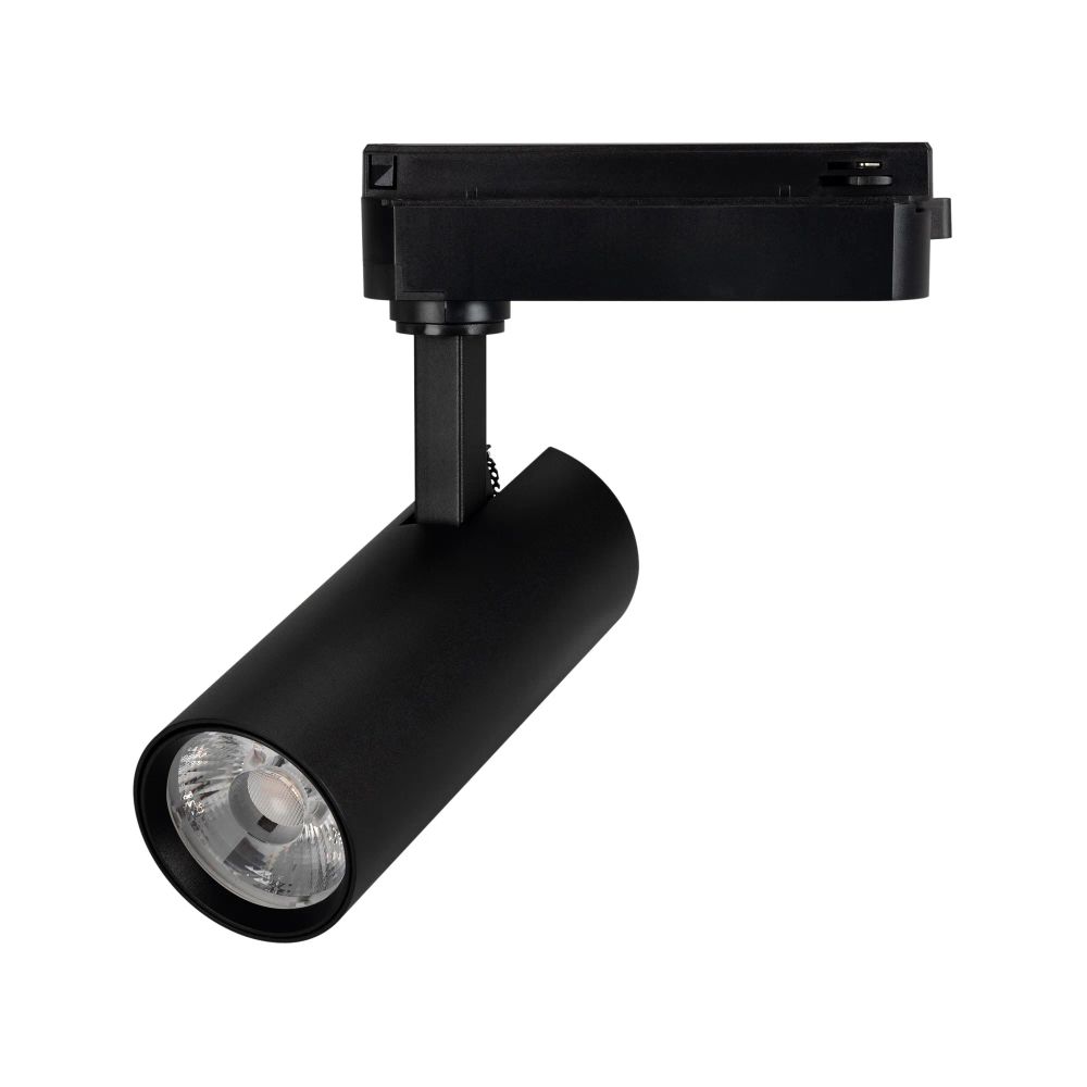 Светильник LGD-GERA-2TR-R55-10W Warm3000 (BK, 24 deg, 230V) (Arlight, IP20 Металл, 5 лет) 055057