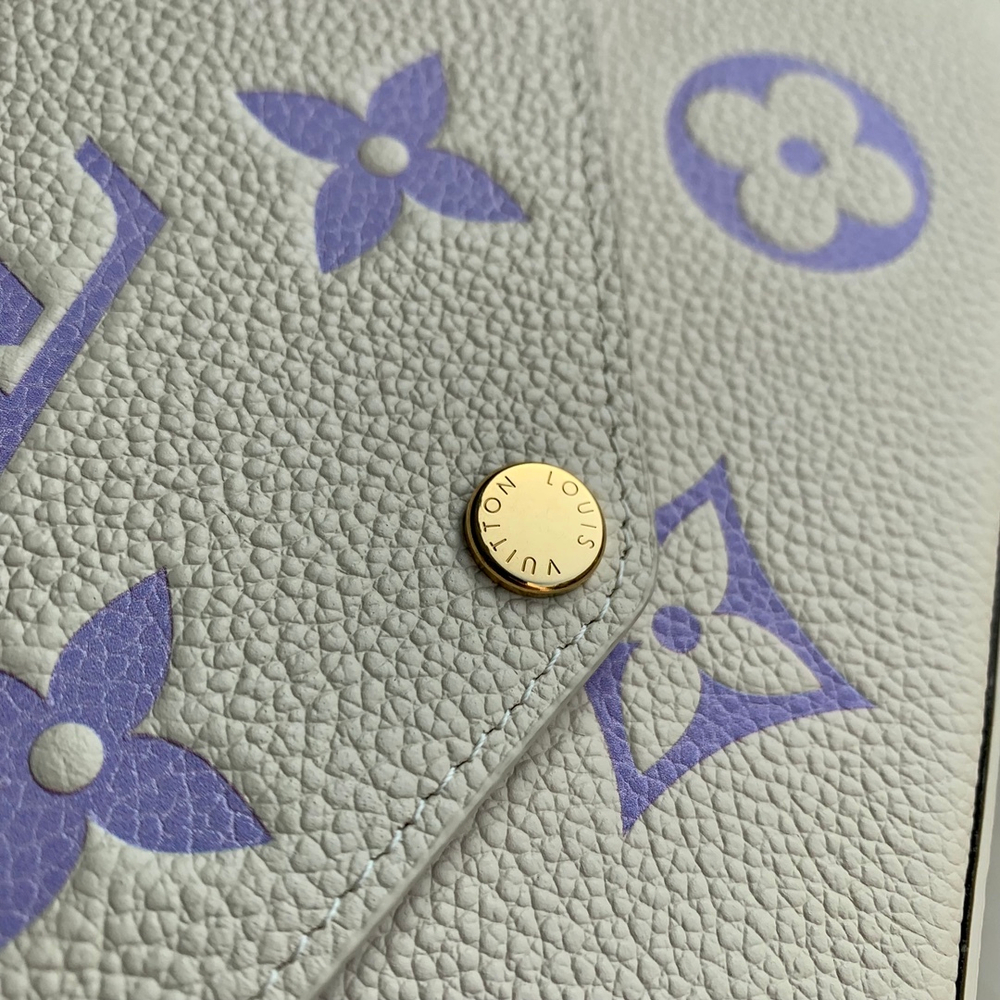 Louis Vuitton Felicie Pochette