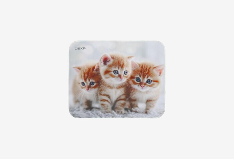 DEXP Kittens_0126522102551