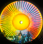 Hawkwind / At The Roundhouse (3LP)