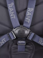 Коляска 2 в 1 Rant Flex 2025 RA076