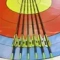 Стрелы MUSEN Archery Fox из чистого карбона sp600 4,2 мм 30 дюймов (6 шт.)