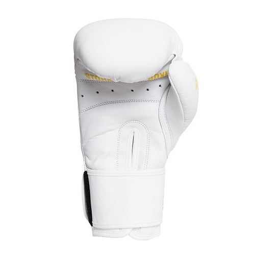 Боксерские перчатки StormCloud Boxing Pro белые