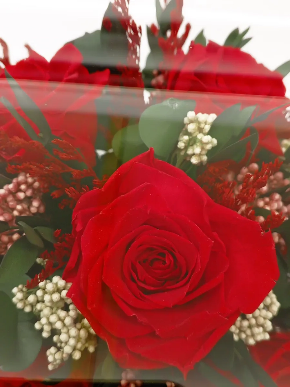 натуральные розы в стекле, вакуум*