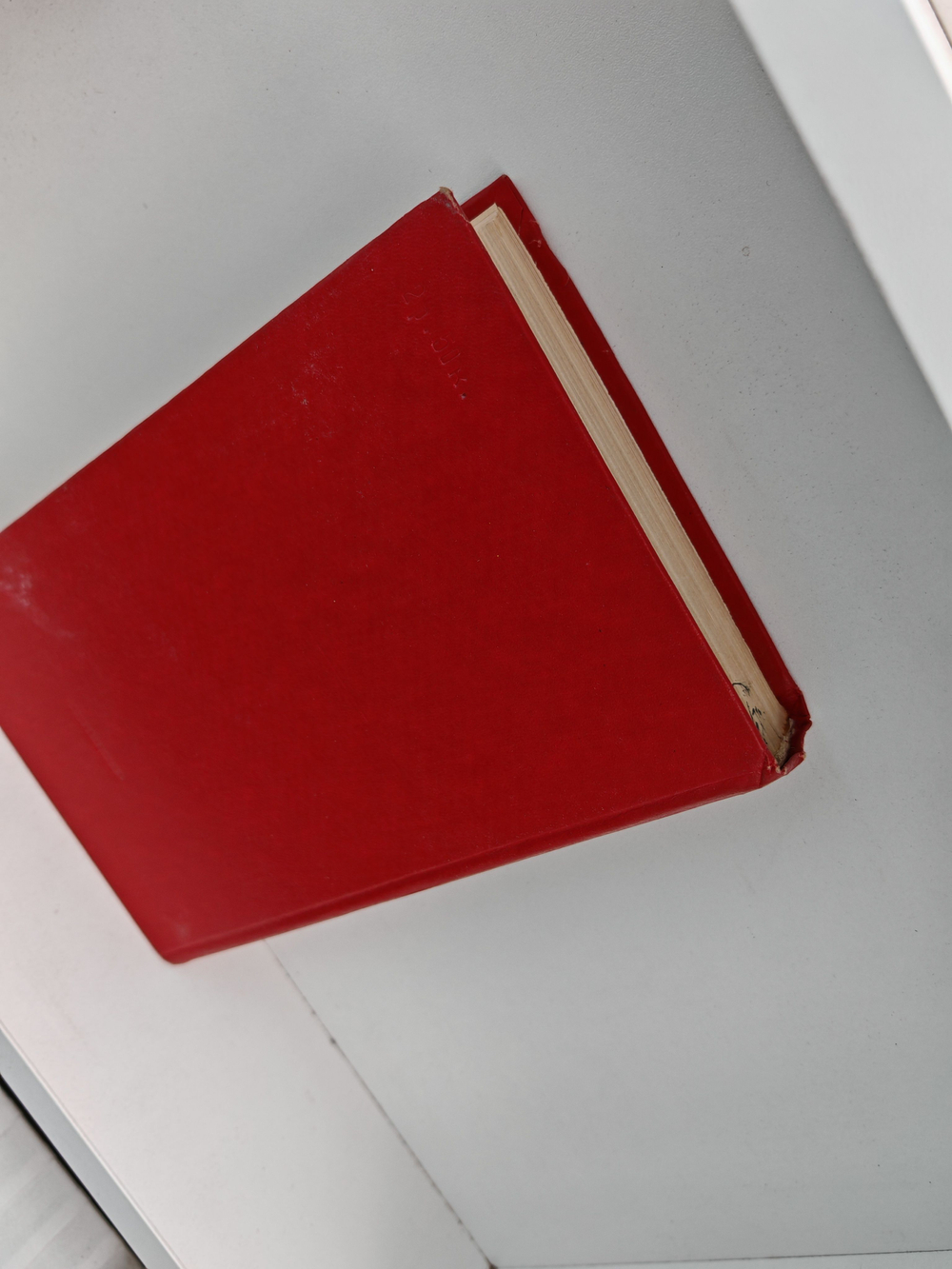 Новочеркасск: Роман