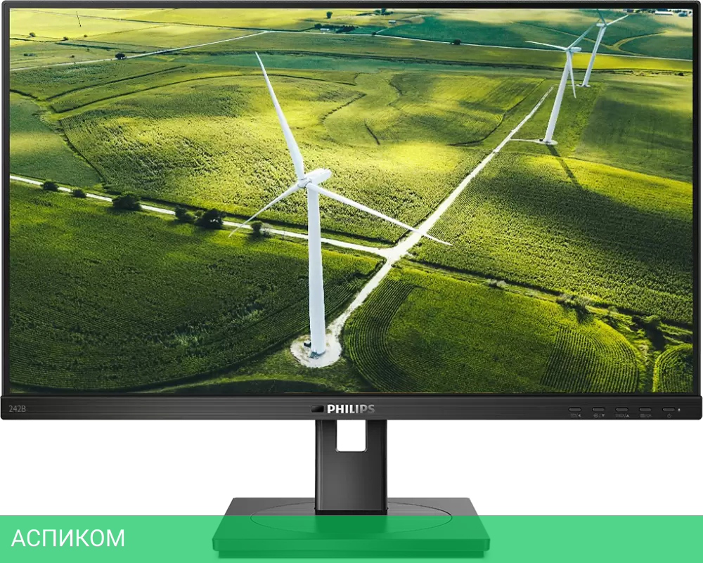 Монитор Philips 242B1G/00