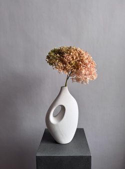 Гортензия стабилизированная персиково-зеленая