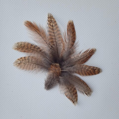 Перья вальдшнепа рыжие 4-7 см. 10 шт.