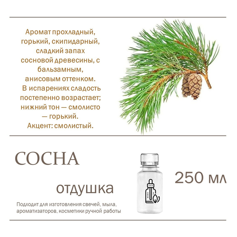 Сосна, отдушка для свечей и мыла