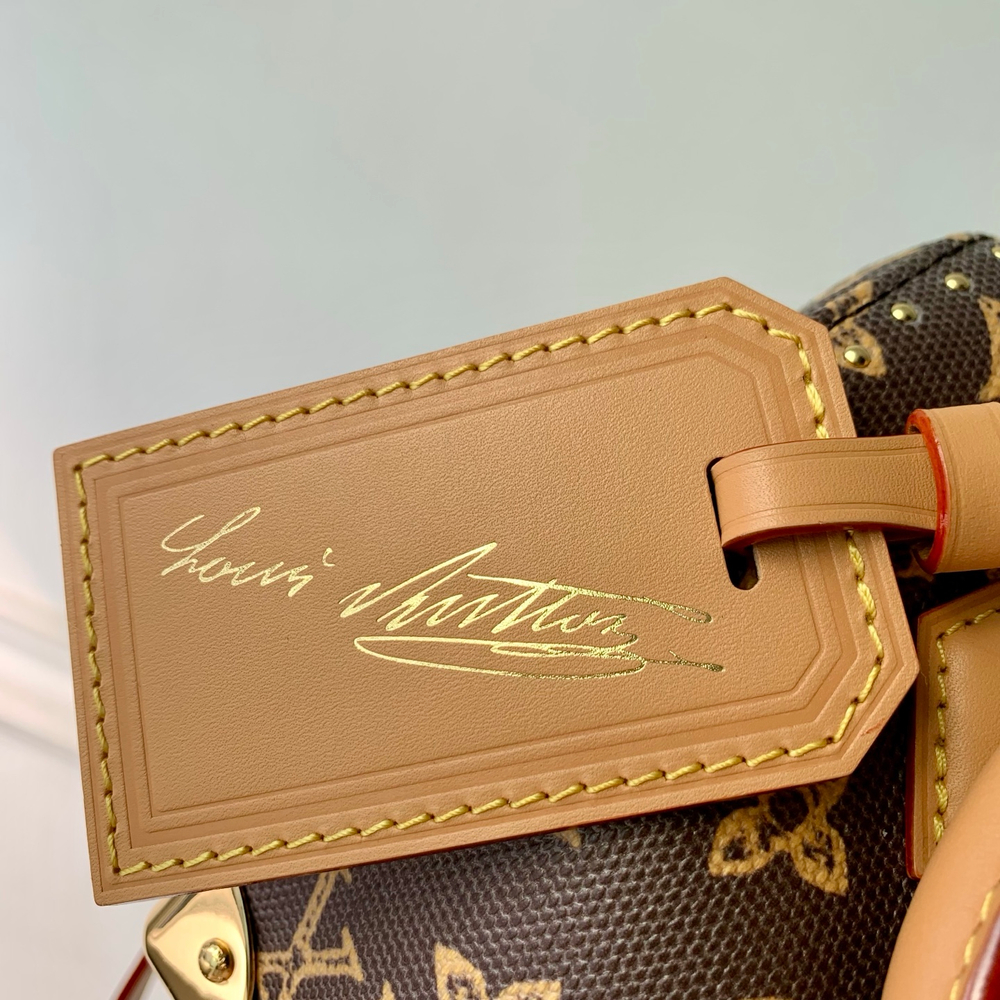 Louis Vuitton Speedy Trunk 20