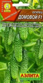 Огурец Домовой 10шт Ц Аэлита