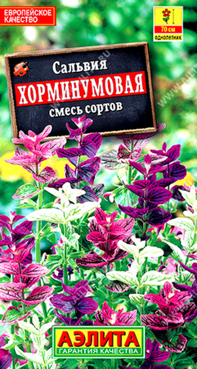 Сальвия Хорминумовая, смесь сортов