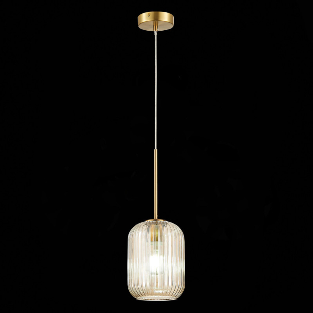 Подвесной светильник ST-Luce SL1154.333.01