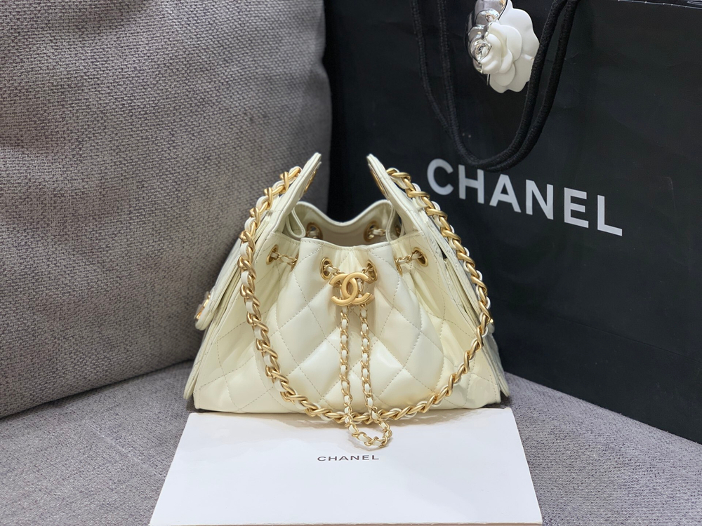 Chanel 25 Mini Handbag 22 cm
