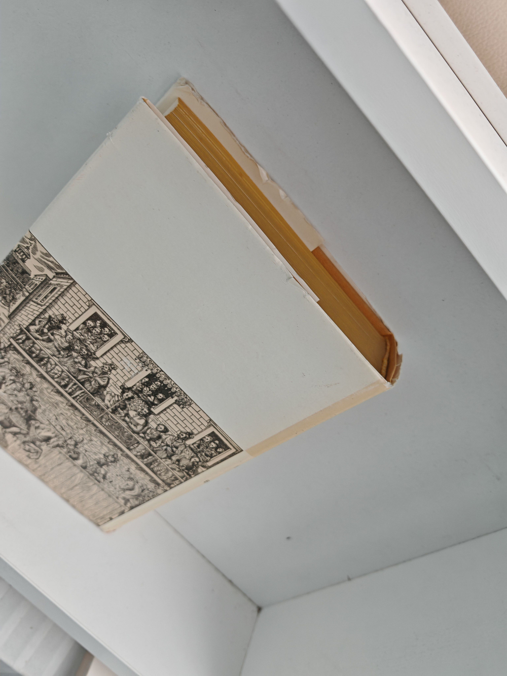 Европейские поэты Возрождения