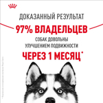 Royal Canin Maxi Joint Care Корм сухой для взрослых собак крупных размеров 10кг