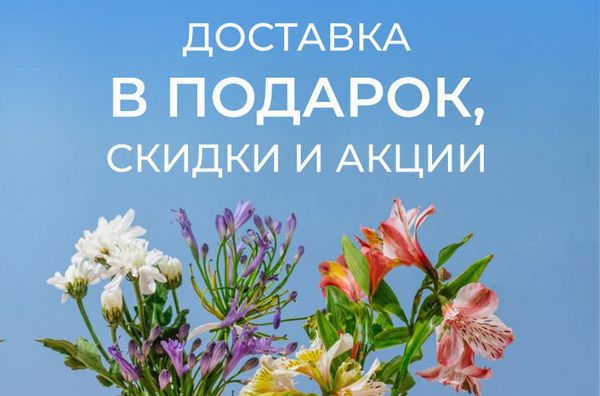 Доставка в подарок на любой заказ!