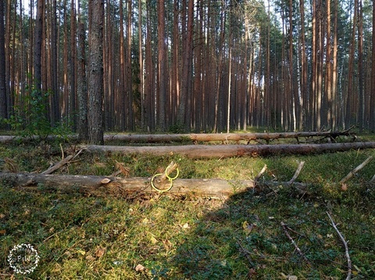 Сравнение пялец с системой антискольжения