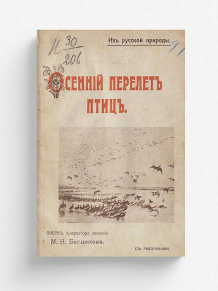 Осенний перелет птиц | Богданов Модест Николаевич