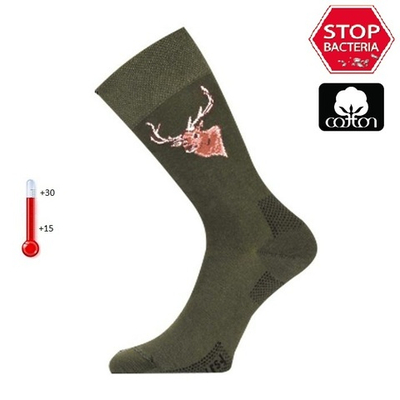 Носки Lasting LFSJ 620, cotton+polyamide, зеленый с рисунком, размер XL, LFSJ620-XL