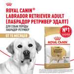 Royal Canin Labrador Retriever Лабрадор Ретривер Эдалт Корм сухой для взрослых собак породы Лабрадор Ретривер в возрасте от 15 месяцев 3кг