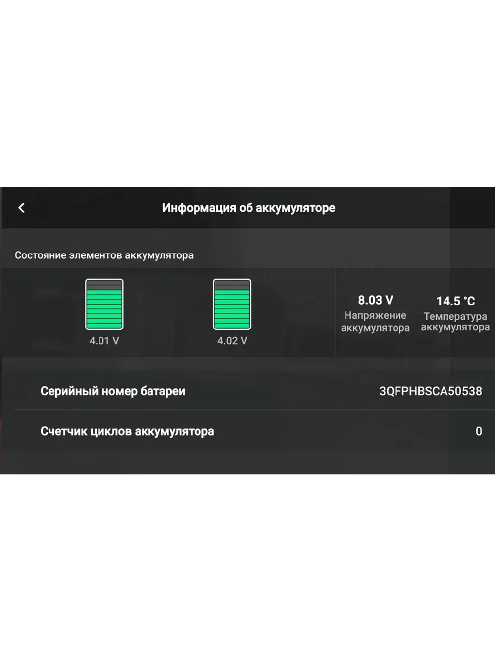 Квадрокоптер DJI Mini 2