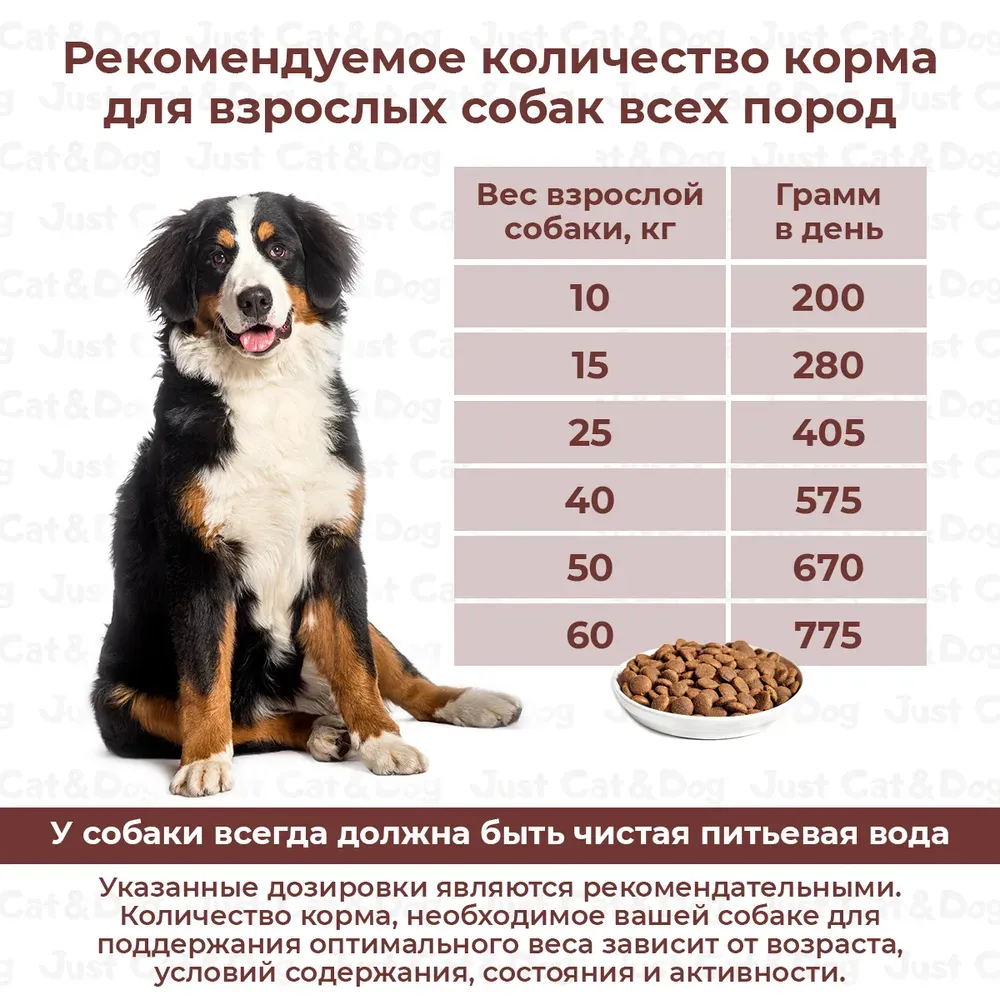 Сухой корм Дилли для взрослых собак "Рыба и рис"