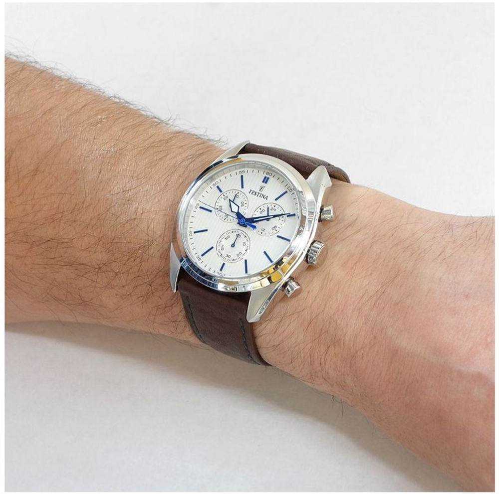 Мужские наручные часы Festina F16779/2