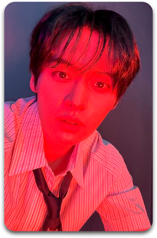 Карта / STRAY KIDS #4065