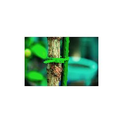 Подвязки для растений GREEN APPLE GTT-26 регулируемые 13 см | GREEN APPLE