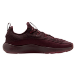 Баскетбольные кроссовки Nike LeBron TR 1 Burgundy Crush/Team Red shoes