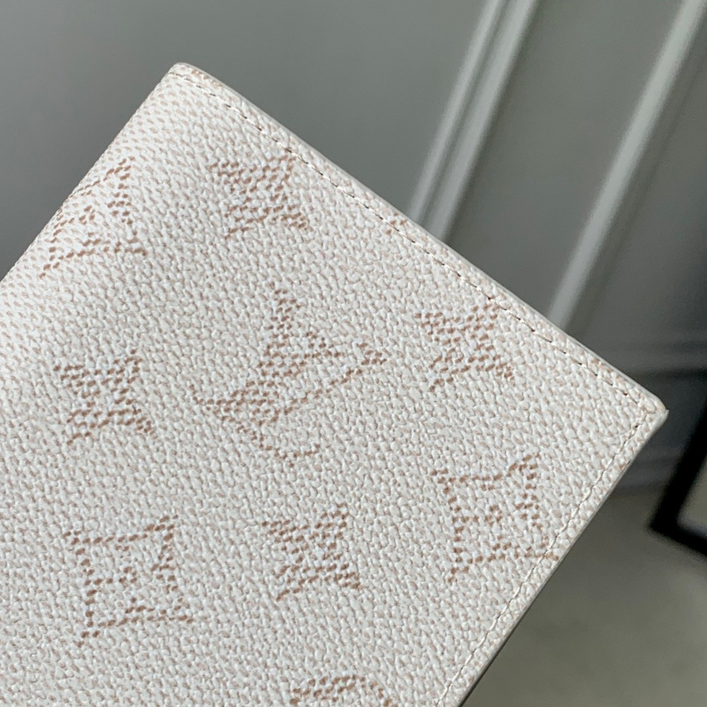Louis Vuitton Passport Cover