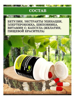 Batel. Бетулин, усиленный природными иммуномодуляторами