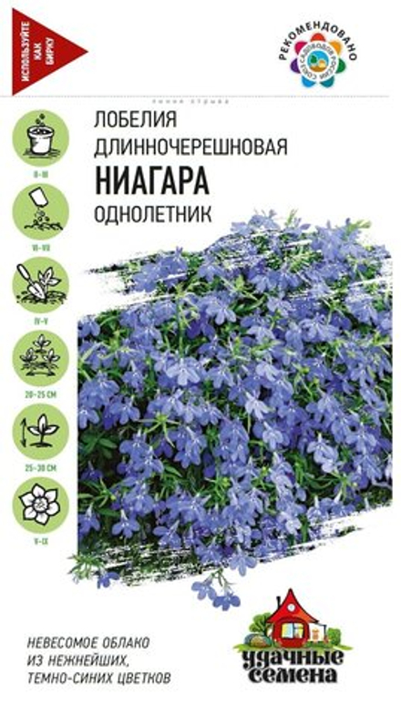 Лобелия Ниагара длинночерешковая