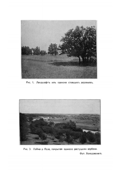 Учение о лесе | Морозов Георгий Федорович