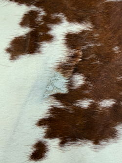 Коровья шкура на пол натуральная. 200 х 190 см