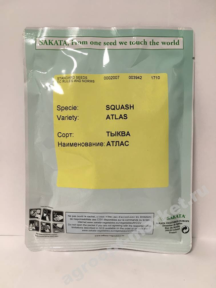 Атлас F1 семена тыквы (Sakata / Саката) – фото 2