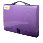 Папка-портфель на застежке Alingar, А4 360х265х40 мм, пластиковая, 800 мкм, ассорти, матовая, карман для визитки, "Flossy"