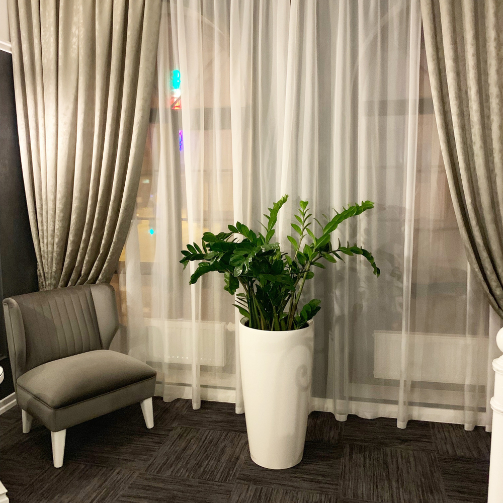 20.05. Озеленение живыми горшечными растения отеля «Столица».