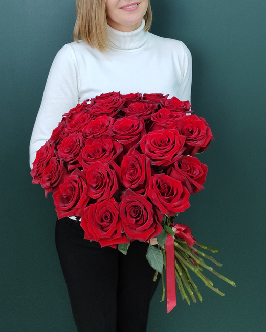 Роза красная Эксплорер,25 штук(00077)
