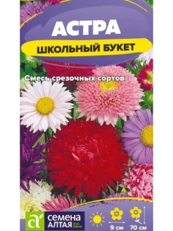 Семена цветов астры Школьный букет- смесь сортов для дачи