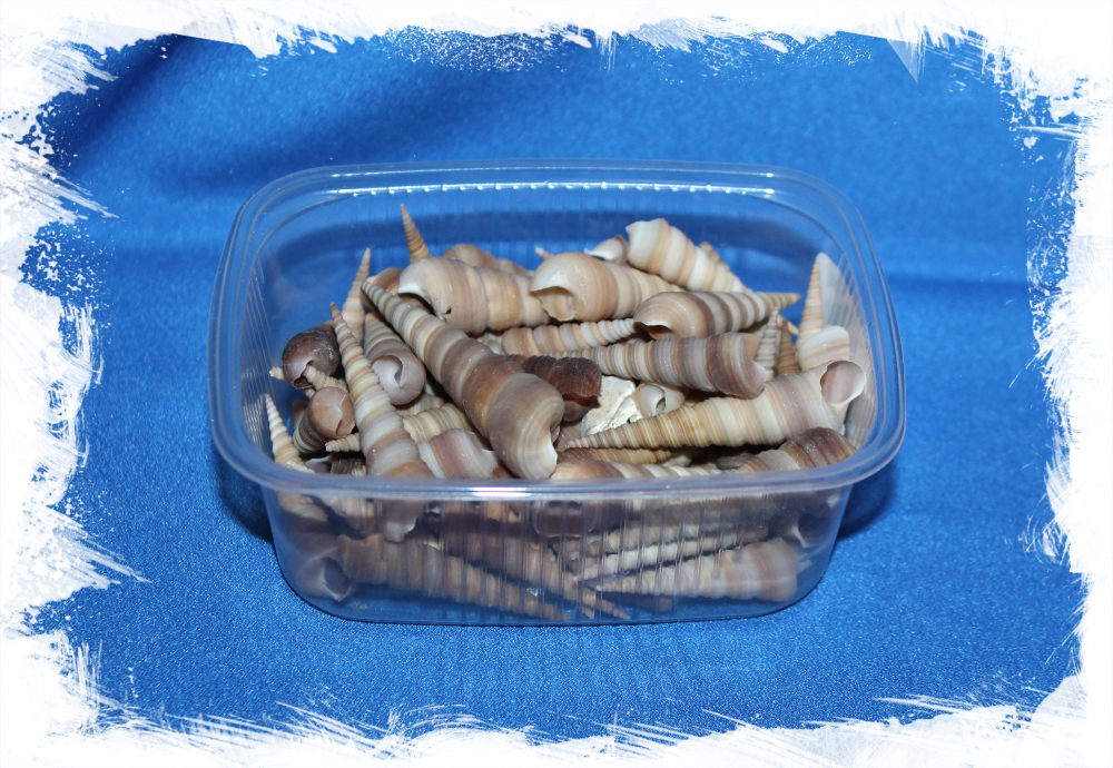 Турителла мини, 3-5см, 100гр, 20шт