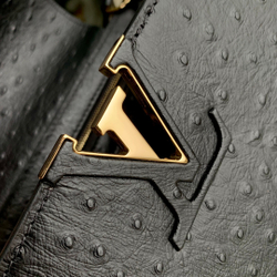 Louis Vuitton Capucines Mini