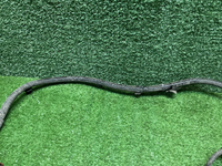 Проводка заднего бампера Jetour T2 (2023-н.в.)