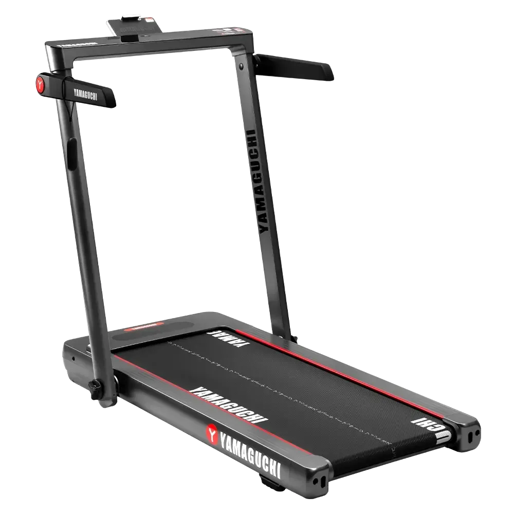 Беговая дорожка Yamaguchi Home RACE
